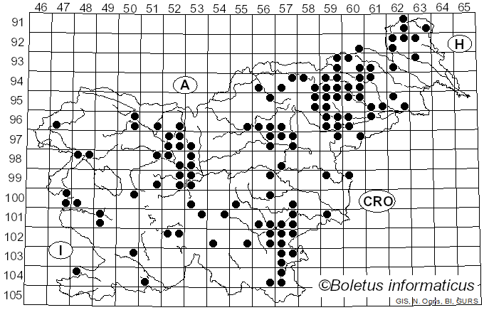 <i>Neofavolus alveolaris</i> (DC.) Sotome & T. Hatt. (2012)