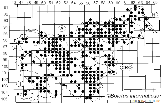 <i>Paxillus</i> Fr. (1836)