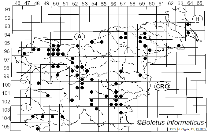 <i>Hypomyces</i> (Fr.) Tul. (1860)