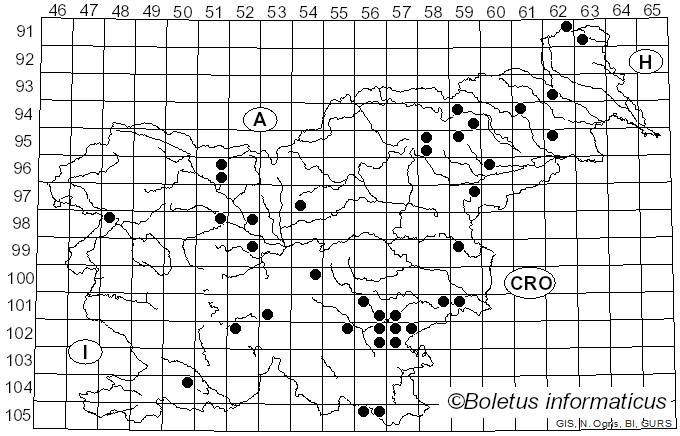 <i>Chlorociboria aeruginosa</i> (Oeder) Seaver ex C.S. Ramamurthi, Korf & L.R. Batra (1958)