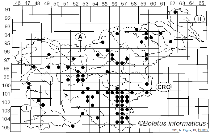 <i>Russula farinipes</i> Romell (1893)