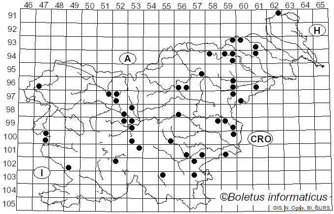 <i>Lepiota castanea</i> Quél. (1881)