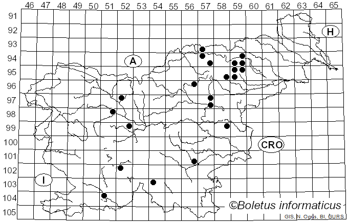 <i>Cortinarius damascenus</i> Fr.