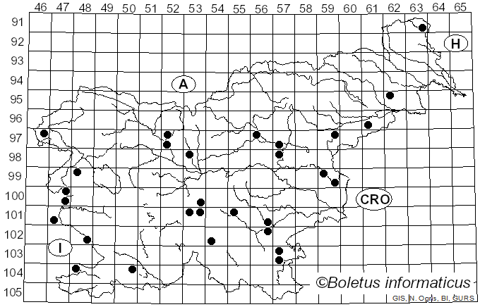 <i>Psilocybe coronilla</i> (Bull.) Noordel. (1995)