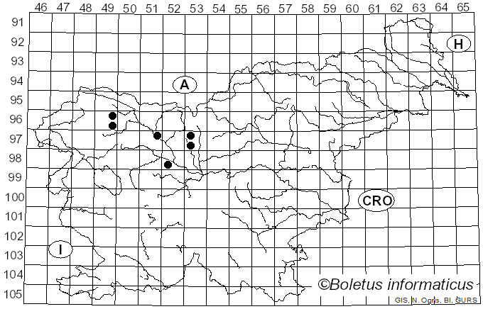 <i>Lachnum sulphureum</i> P. Karst. (1871)