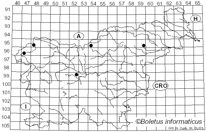 <i>Daedalea xantha</i> (Fr.) A. Roy & A.B. De (1997)