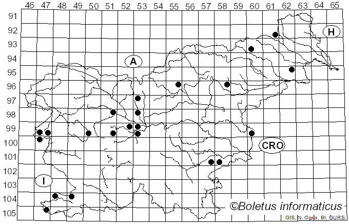 <i>Stigmella prunetorum</i> Stainton