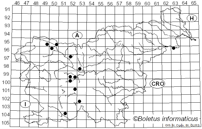 <i>Myathropa florea</i> Linnaeus (1758)