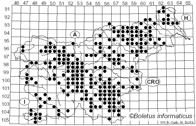 <i>Russula foetens</i> (Pers.) Fr. (1796)