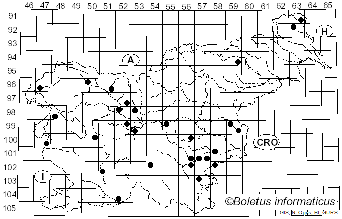 <i>Mycena abramsii</i> (Murrill) Murrill (1916)