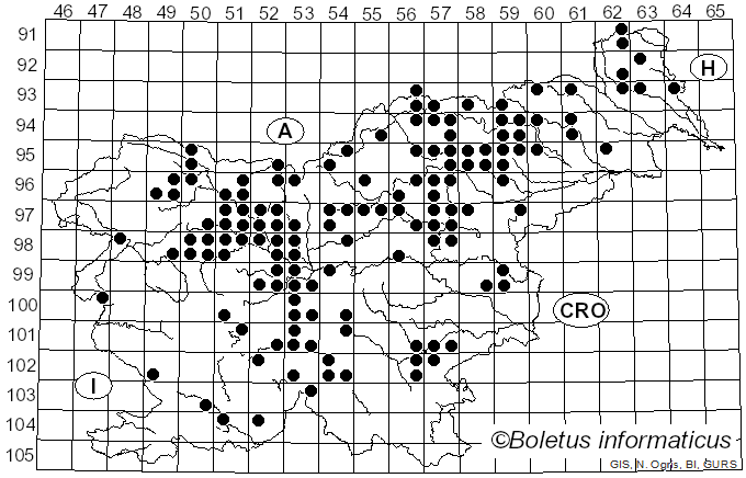 <i>Albatrellopsis confluens</i> (Alb. & Schwein.) Teixeira (1993)
