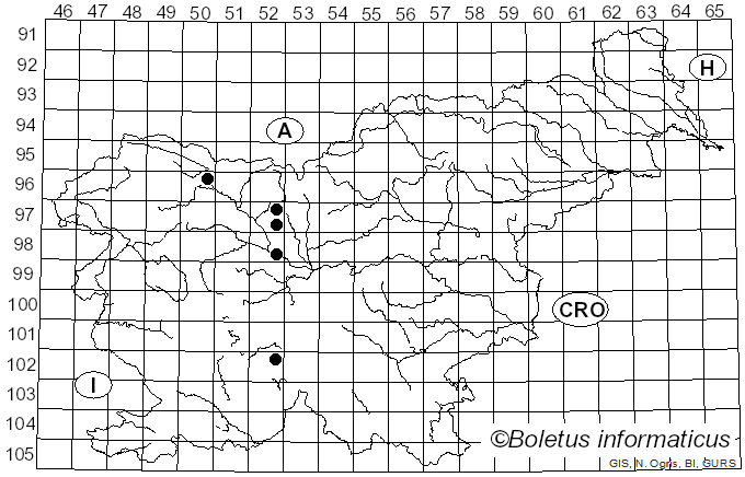 <i>Puccinia obtusa</i> J. Schröt. (1887)