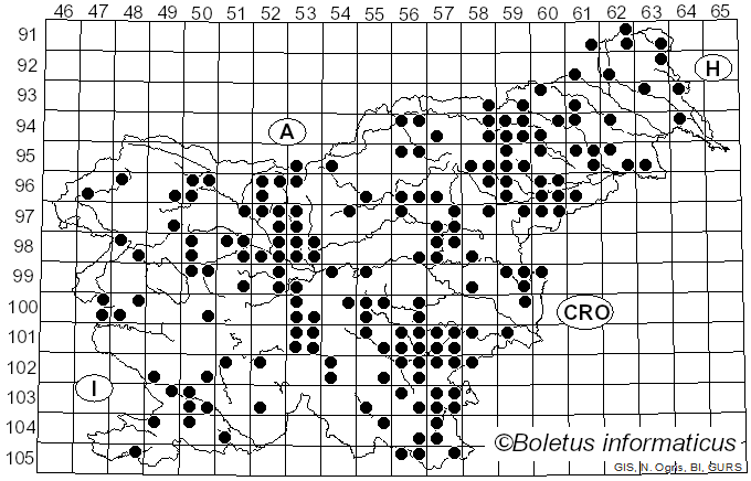 <i>Cyathus</i> Haller (1768)