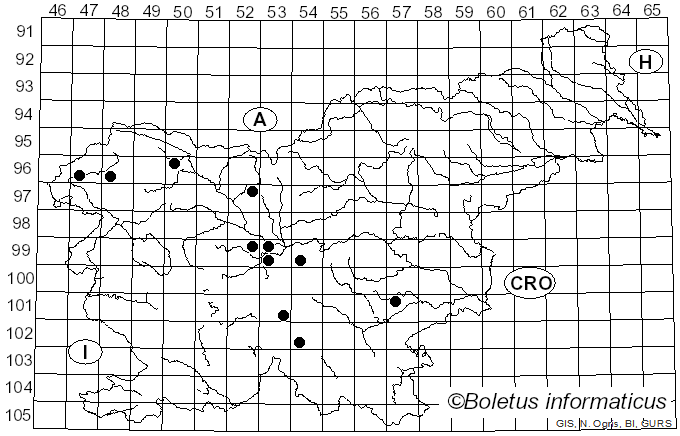 <i>Trichoglossum hirsutum</i> (Pers.) Boud. (1907)