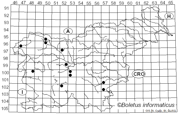 <i>Hypomyces aurantius</i> (Pers.) Tul. & C. Tul. (1860)