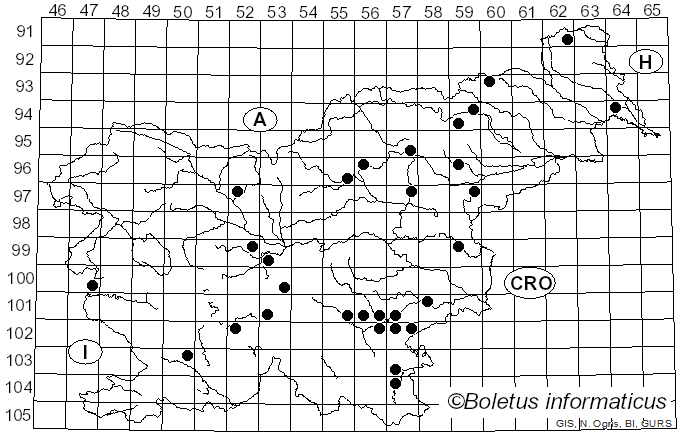 <i>Russula insignis</i> Quél. (1888)
