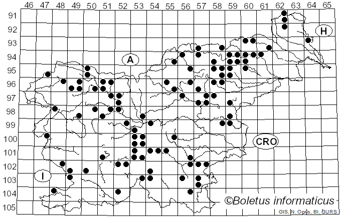 <i>Cortinarius varius</i> (Schaeff.) Fr. (1838)