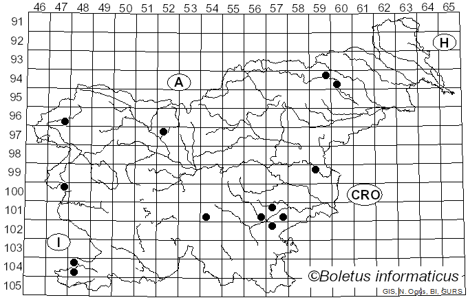 <i>Calonarius saporatus</i> (Britzelm.) Niskanen & Liimat. (2022)