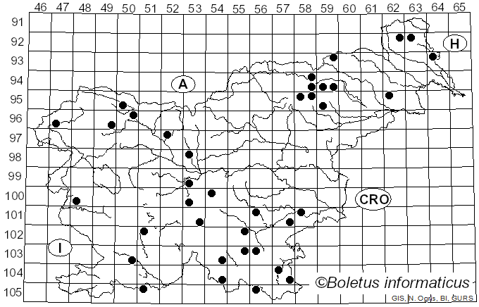 <i>Stereum sanguinolentum</i> (Alb. & Schwein.) Fr. (1838)
