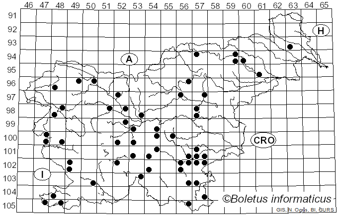 <i>Hohenbuehelia petaloides</i> (Bull.) Schulzer (1866)