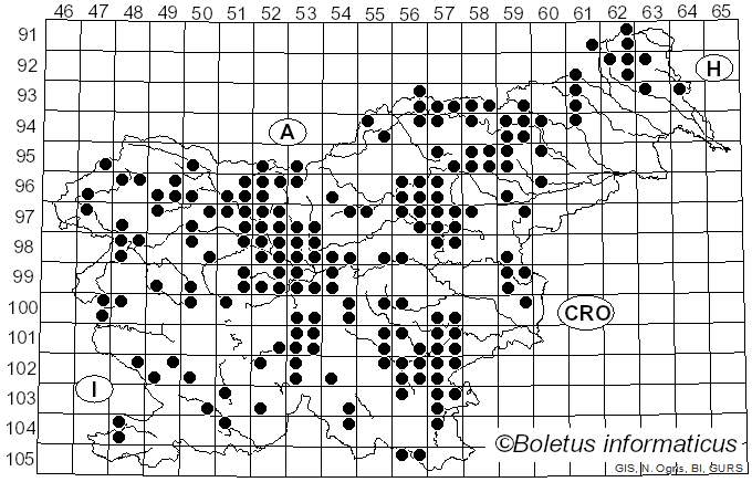 <i>Craterellus tubaeformis</i> (Fr.) Quél. (1888)