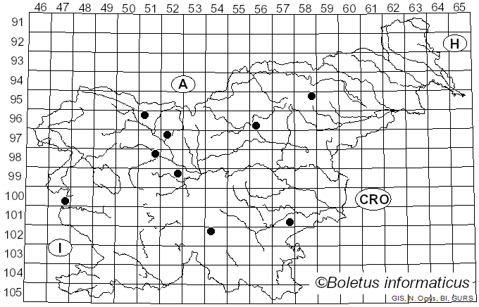 <i>Cudoniella acicularis</i> (Bull.) J. Schröt. (1893)