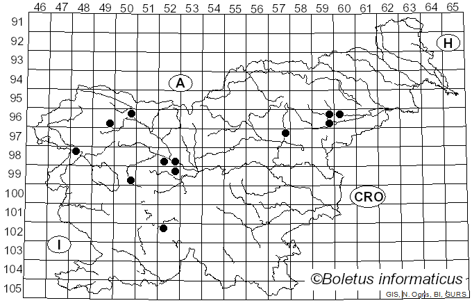 <i>Suillus flavidus</i> (Fr.) J. Presl (1846)