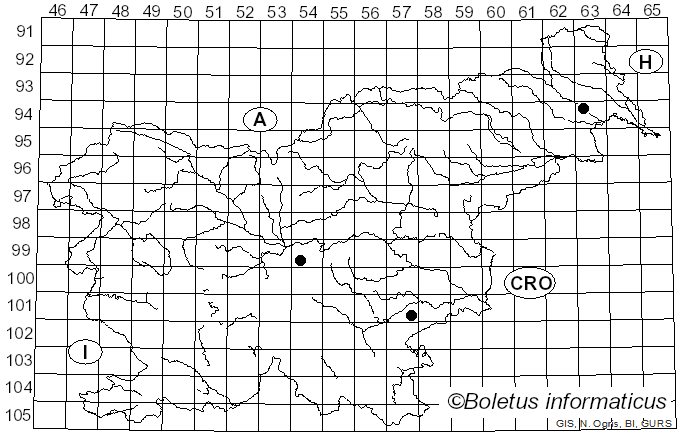 <i>Phaeosolenia densa</i> (Berk.) W.B. Cooke (1961)