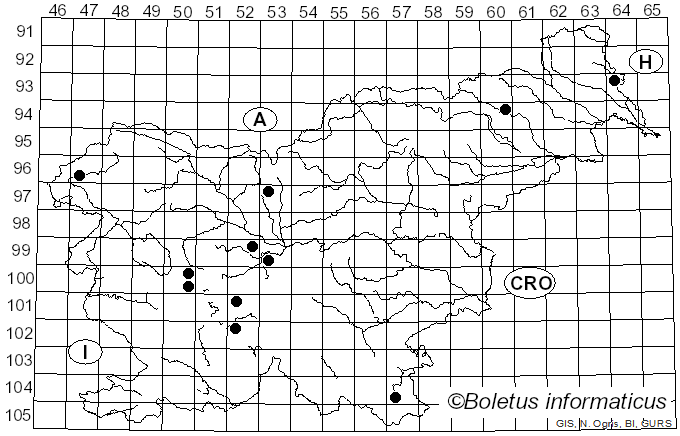 <i>Rhopographus filicinus</i> (Fr.) Nitschke ex Fuckel (1870)