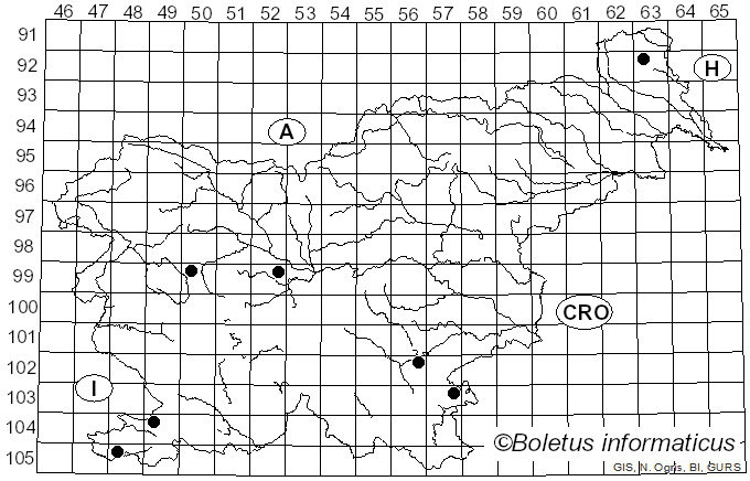 <i>Myxarium nucleatum</i> Wallr. (1833)