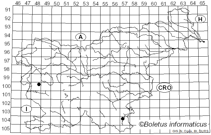 <i>Geosmithia</i> Pitt (1979)