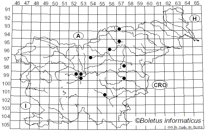 <i>Stigmella salicis</i> Stainton (1854)