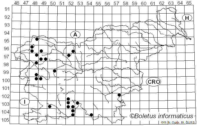 <i>Pertusaria flavida</i> (DC.) J.R. Laundon (1963)