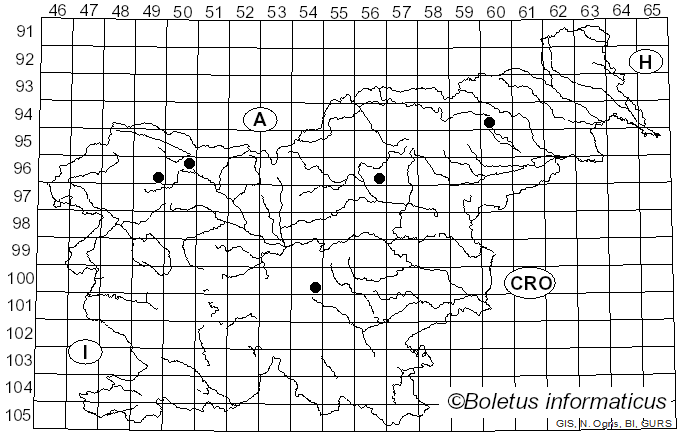 <i>Agaricus subperonatus</i> (J.E. Lange) Singer (1951)