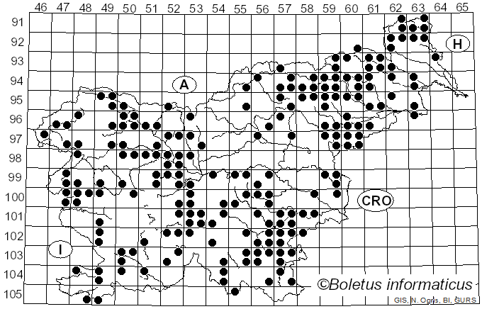 <i>Hypoxylon</i> Bull. (1791)