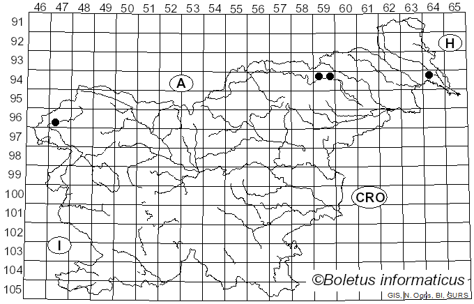 <i>Hortiboletus bubalinus</i> (Oolbekk. & Duin) L. Albert & Dima (2015)