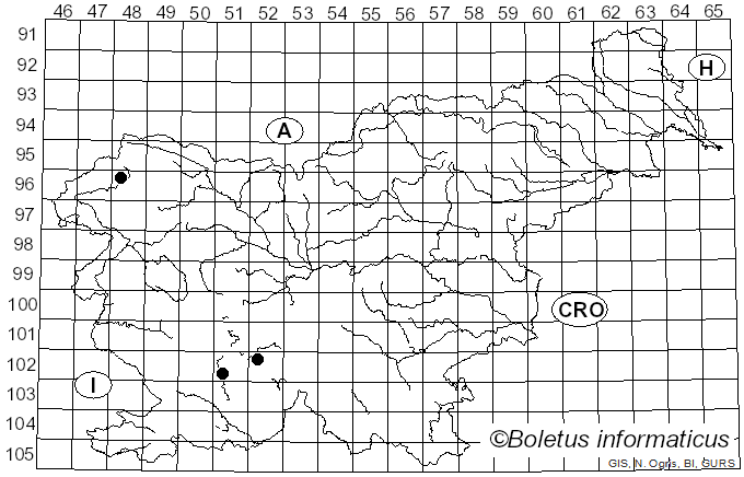 <i>Szczepkamyces</i> Zmitr. (2018)