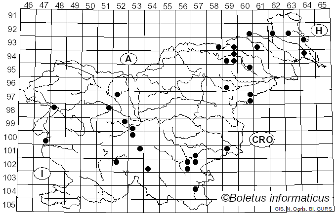 <i>Funalia</i> Pat. (1900)