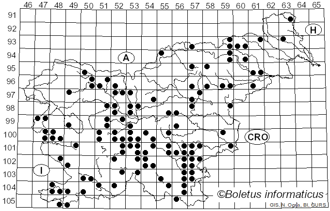 <i>Rubroboletus satanas</i> (Lenz) Kuan Zhao & Zhu L. Yang (2014)