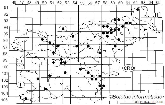 <i>Russula graveolens</i> Romell (1885)