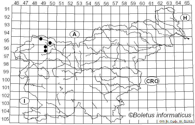 <i>Microsphaeropsis hellebori</i> (Cooke & Massee) Aa (2002)