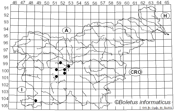 <i>Eumerus</i> Meigen (1822)