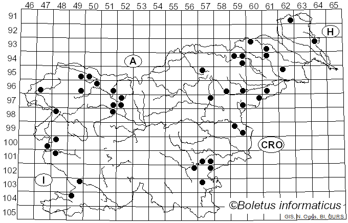 <i>Parasola conopilea</i> (Fr.) Örstadius & E. Larss. (2008)