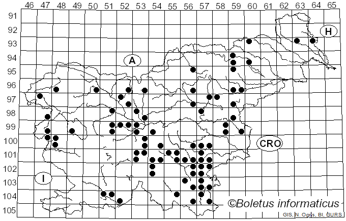 <i>Polyporus umbellatus</i> (Pers.) Fr. (1821)