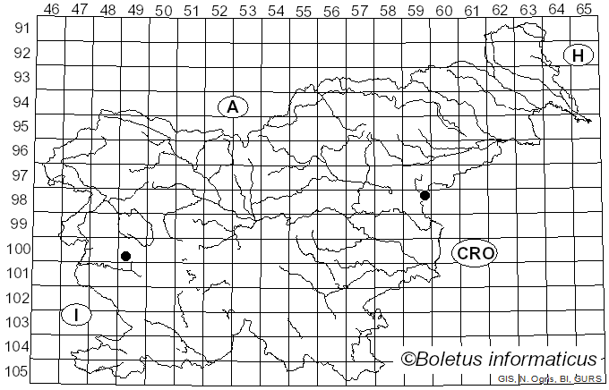 <i>Agrilus pratensis</i>