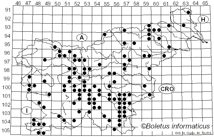 <i>Rubroboletus satanas</i> (Lenz) Kuan Zhao & Zhu L. Yang (2014)