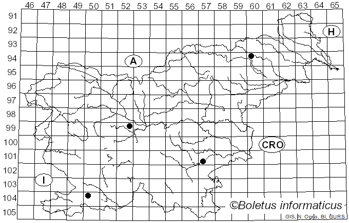 <i>Irpiciporus</i> Murrill (1905)