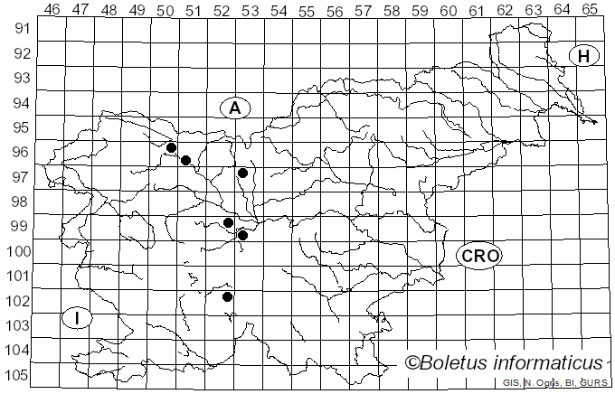 <i>Fumago vagans</i> f. <i>vagans</i> Pers. (1822)