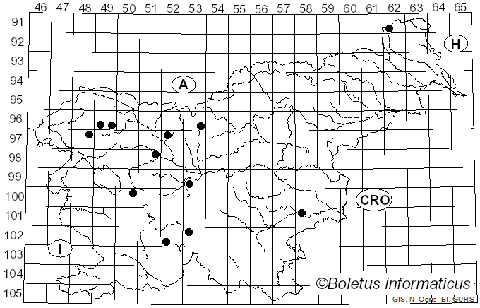 <i>Microdon</i>