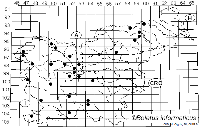 <i>Limacellopsis guttata</i> (Pers.) Zhu L. Yang, Q. Cai & Y.Y. Cui (2018)